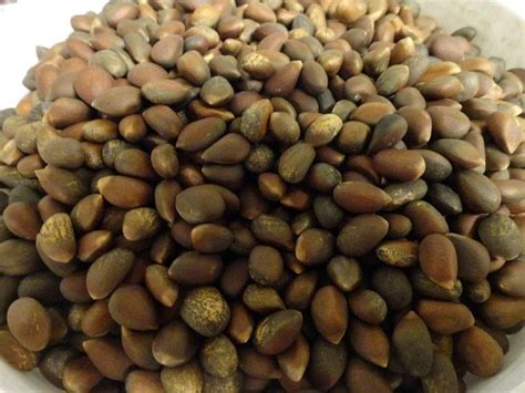 #Roasted and Salted PINON NUTS> NEW MEXICO PINION>PINE NUTS-NUTS ...