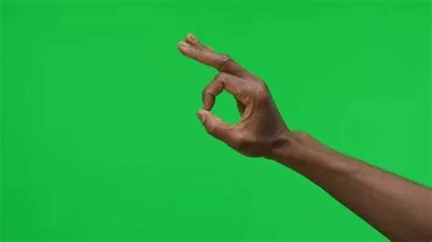 Female Hand Ok Gesture on Green Screen B... | Stock Video | Pond5 | Greenscreen, Stock video ...