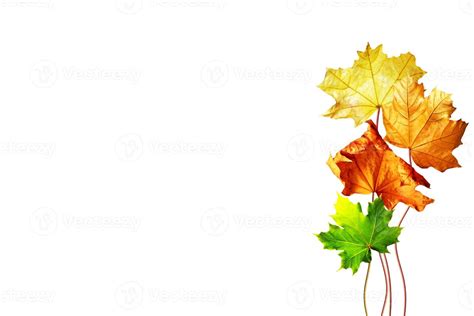 abstract background of autumn leaves 10026762 Stock Photo at Vecteezy