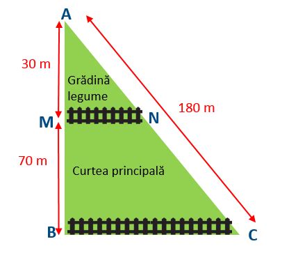 Teorema lui Thales, segmente proportionale | Matera.ro