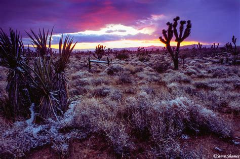 Mojave Desert Sunset | Mojave National Preserve, California | Steve ...