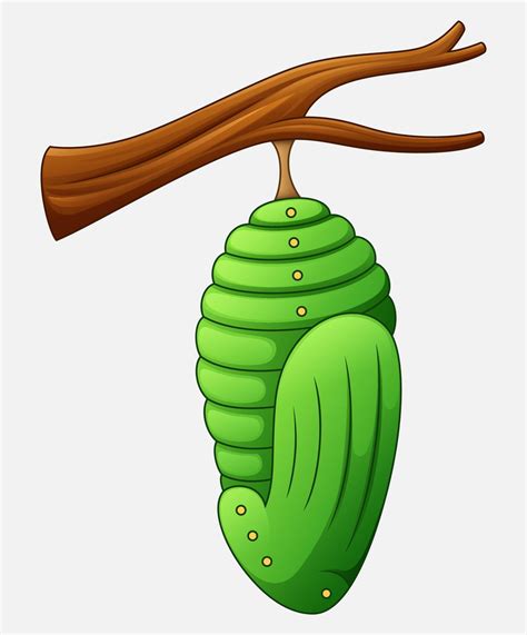 Cartoon pupa of the butterfly 12407007 Vector Art at Vecteezy