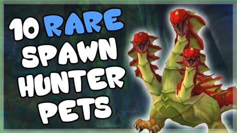 10 Rare and Unique Hunter Pets That AREN'T Spirit Beasts and How to Get Them in WoW - YouTube