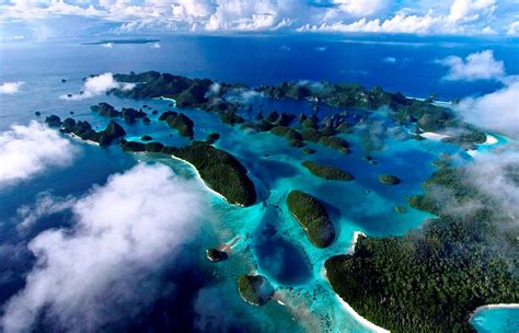 Scuba Diving Cape Kri Raja Ampat Islands Irian Jaya Barat Indonesia