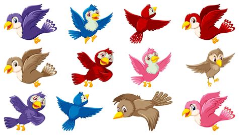 Set of bird cartoon character 1436698 Vector Art at Vecteezy