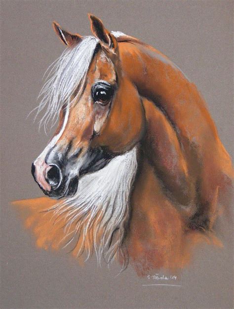 Palomino Painting : Palomino Horse Art & Framed Artwork | Dekorisori