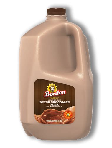 Dutch Chocolate Milk | Borden Dairy