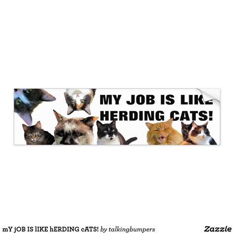 Like Herding Cats Meme