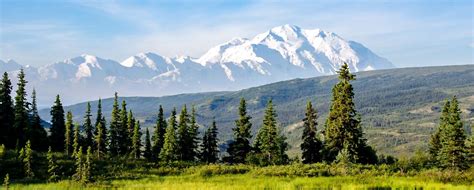 The Camp Denali Experience in Alaska - Hike Bike Travel