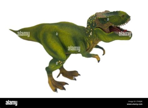 Tyrannosaurus Rex Dinosaur King Card at Joseph Phipps blog