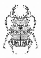 Stag Beetle Coloring Page For Adults  116 DXF Include sketch template