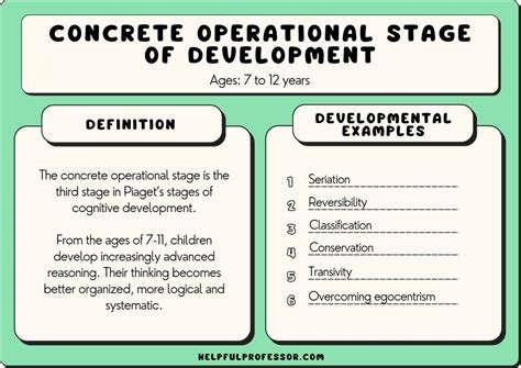 7 Concrete Operational Stage Examples (With Video) (2024)