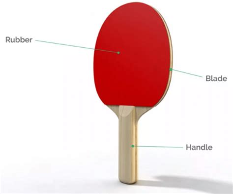 Official Ping Pong Paddle Dimensions and Restrictions - Strive Challenge