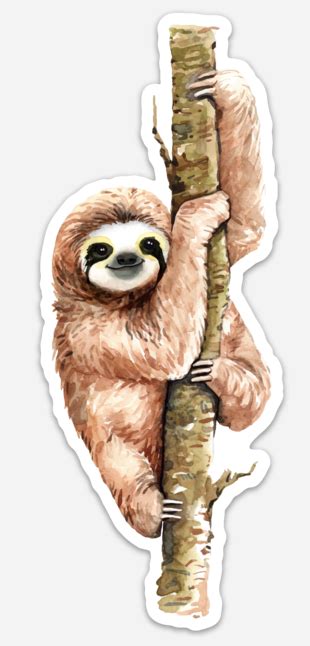 LARGE SLOTH STICKER | Gay Dolphin Gift Cove