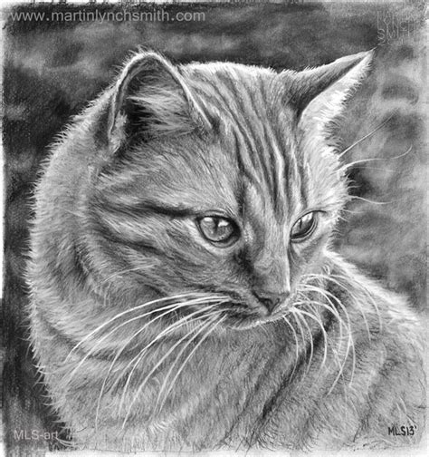 Free Cat Drawings, Download Free Cat Drawings png images, Free ClipArts ...