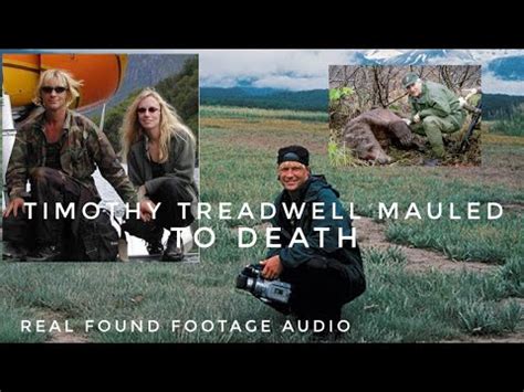 Timothy Treadwell Mauled(Shocking Real Audio Of Death !!! - YouTube