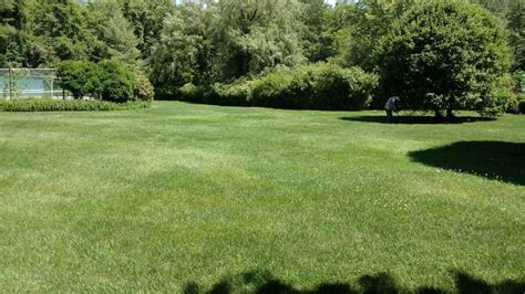 NaturaLawn of America - Lawn Services - 21 Commerce Rd, Newtown, CT - Phone Number - Yelp