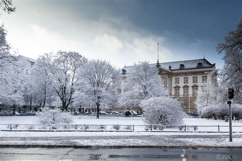 snow in berlin - about curiosity