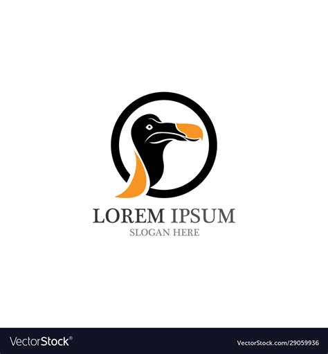 Dodo bird logo and symbol Royalty Free Vector Image