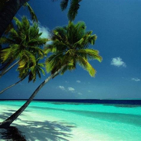 Fiji beach | Nature & ecology | Pinterest