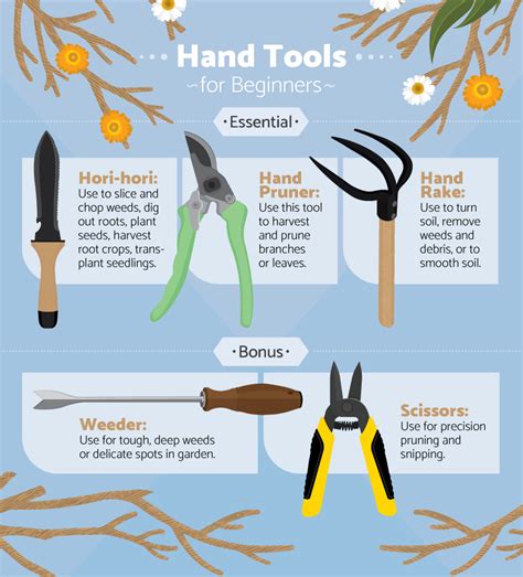 What Gardening Tools a Beginner Needs | Fix.com