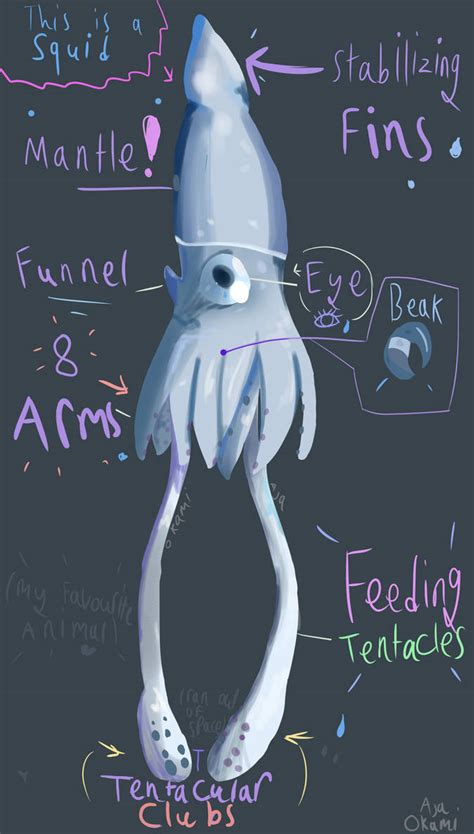 Giant Squid ~ by GaleSnaill on DeviantArt