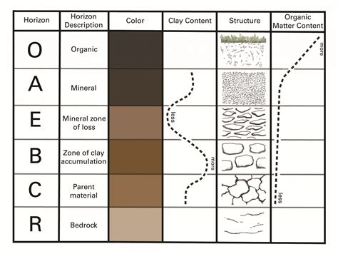 Soil horizons – Introduction to Soil Science