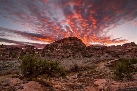 Salt Creek Sunset | Canyonlands National Park, Utah | Mountain Photography by Jack Brauer