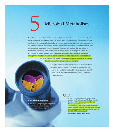 Microbial Metabolism