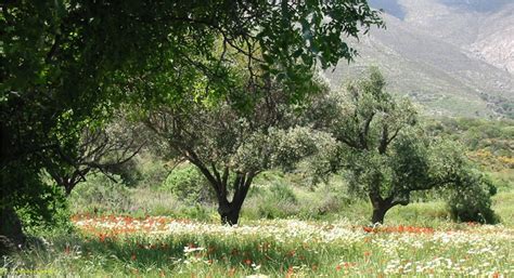 Tilos National Park