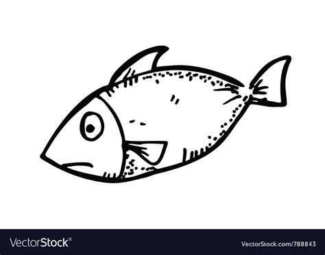 Raw fish meat Royalty Free Vector Image - VectorStock