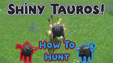 Shiny Tauros! How to Shiny Hunt Tauros (Aqua & Blaze Breeds) - Pokemon ...