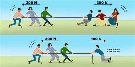 Balanced and Unbalanced Forces - Labster