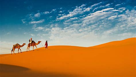 HD wallpaper: Photography, Caravan, Camel, Desert | Wallpaper Flare