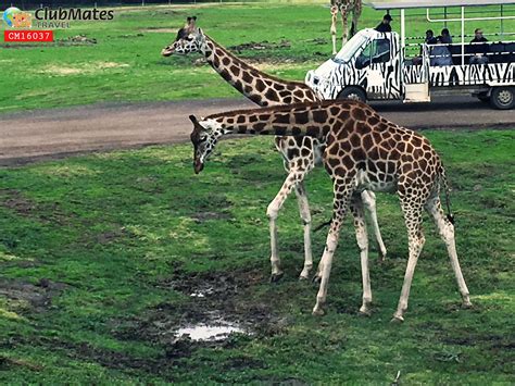 @ The Ballarat Wildlife Park | Wildlife park, Wildlife, Animals