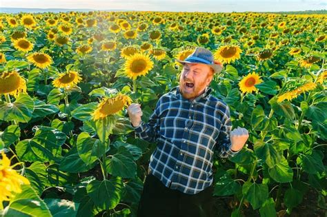 Premium Photo | Screaming funny senior farmer having fun in the sunflower field enjoy the rich ...