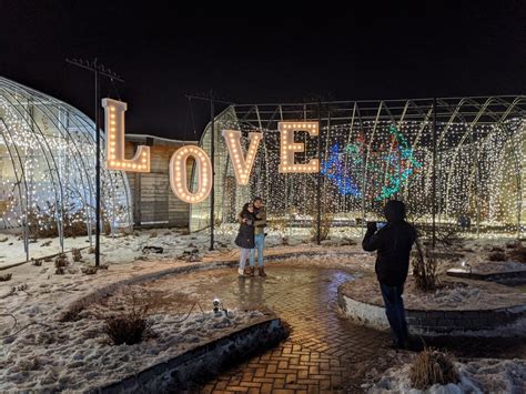 Winnipeg’s zoo to shine again with Zoo Lights display - Winnipeg ...