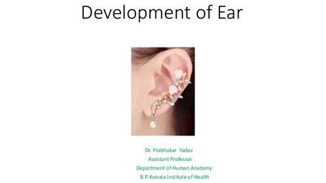 Development of ear