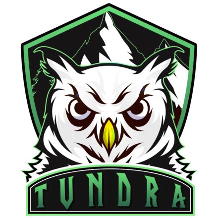 Tundra Gaming - Leaguepedia | League of Legends Esports Wiki