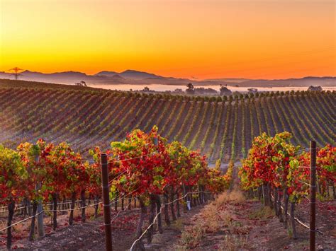 10 Beautiful Napa Valley Images - Fontica Blog