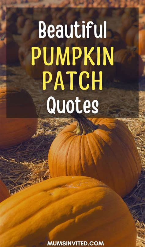 97 Pumpkin Quotes And Sayings To Cozy Up With This Fall - Mums Invited