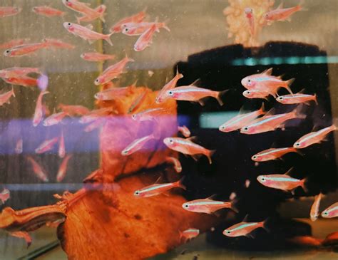 People Visiting An Aquarium · Free Stock Photo