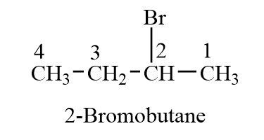 Draw and name the isomers of C4H9Br. | Homework.Study.com