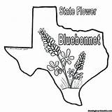 Bluebonnet Flower Coloring Page  Animal sketch template