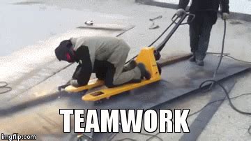 Teamwork GIF - Find & Share on GIPHY