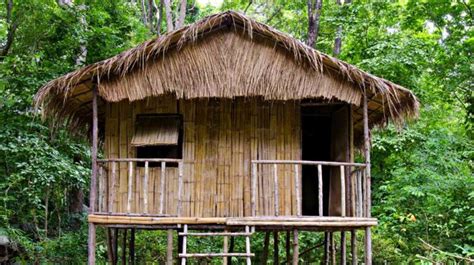 Bamboo House | How To Build A Bamboo House In The Wild