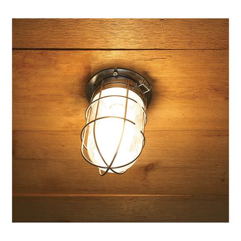 Canarm Ceiling/Wall Outdoor/Indoor Barn Light with Cage — 4.5in. Dia., 100 Watts, Model# BL04CWG ...