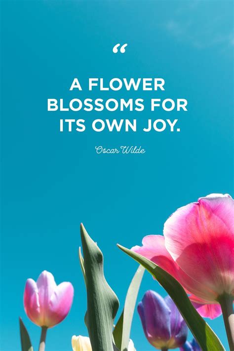 Growth Flower Quotes