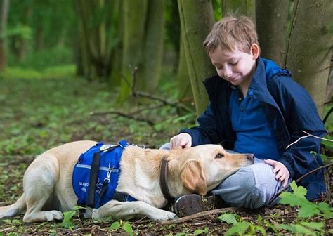 20 Dog Breeds Perfect for Autistic Children