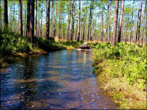 Osceola National Forest - Motorcycle and ATV Trail Photos